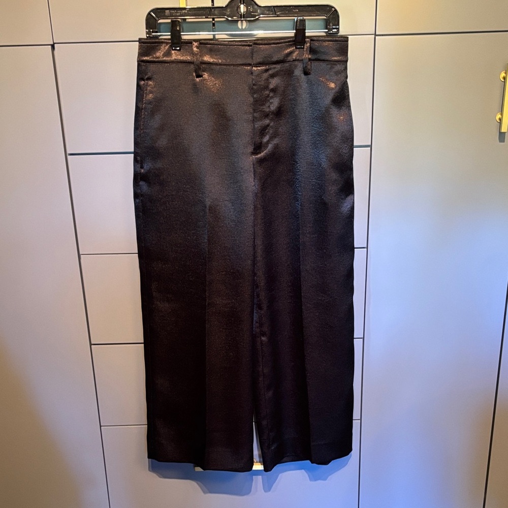 These pants have a shiny satin finish. They are beautiful! NWOT